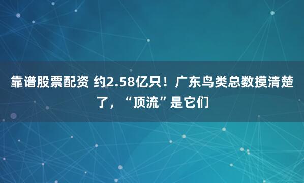 靠谱股票配资 约2.58亿只！广东鸟类总数摸清楚了，“顶流”是它们