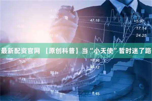 最新配资官网 【原创科普】当“小天使”暂时迷了路