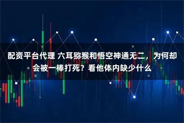 配资平台代理 六耳猕猴和悟空神通无二，为何却会被一棒打死？看他体内缺少什么